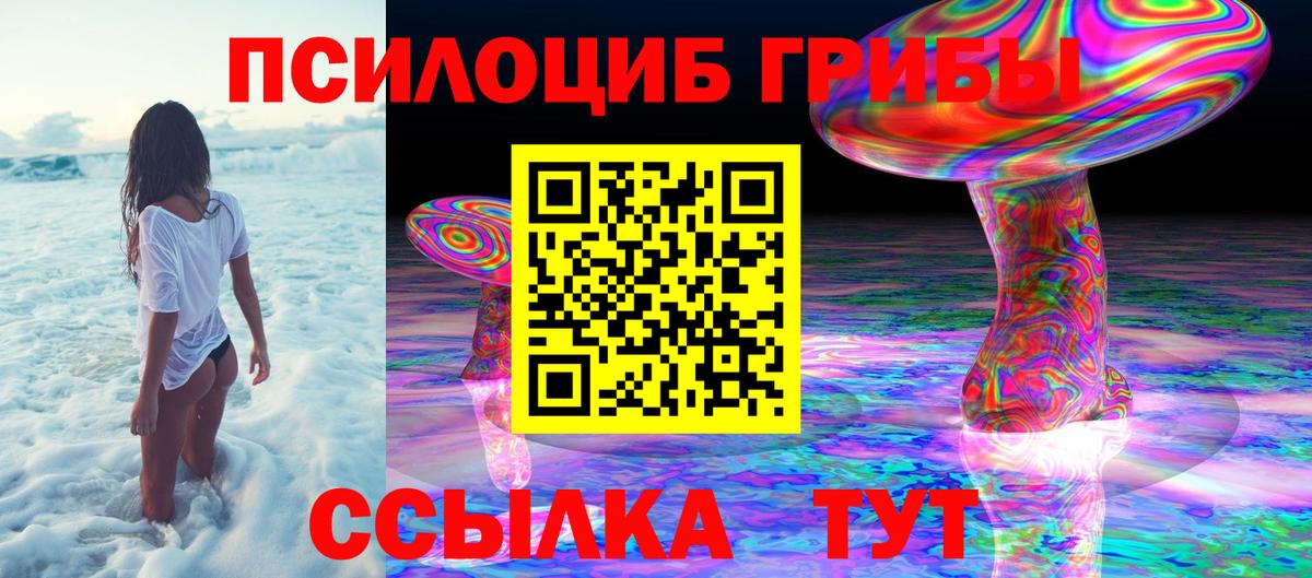 Домодедово  где продают   Вход с VPN  Псилоцибиновые грибы Cubensis 